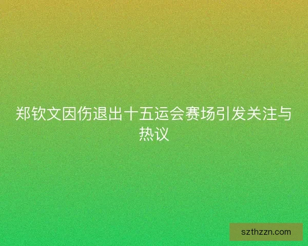 郑钦文因伤退出十五运会赛场引发关注与热议