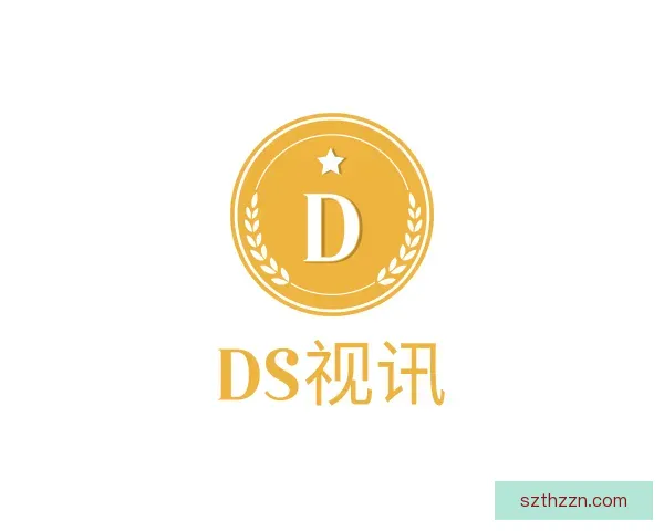 了解DS视讯